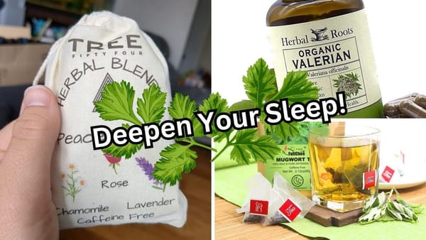 Dream On! 5 Dream Herb Products to Help You Get a Good Night's Sleep!